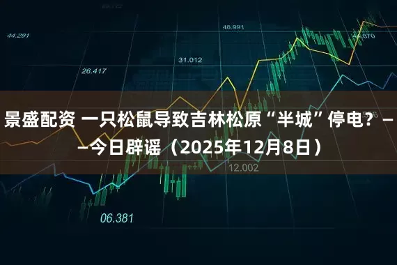 景盛配资 一只松鼠导致吉林松原“半城”停电？——今日辟谣（2025年12月8日）
