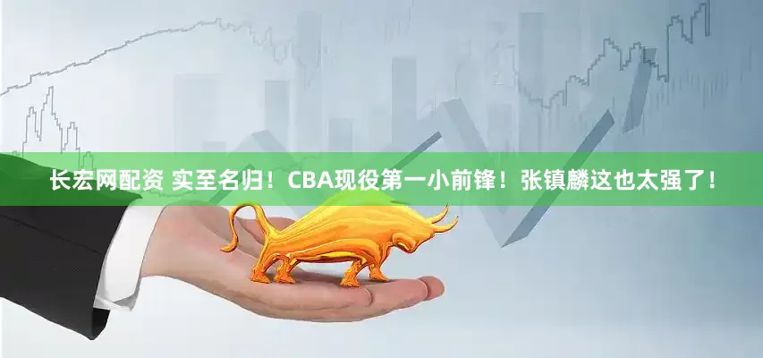 长宏网配资 实至名归！CBA现役第一小前锋！张镇麟这也太强了！
